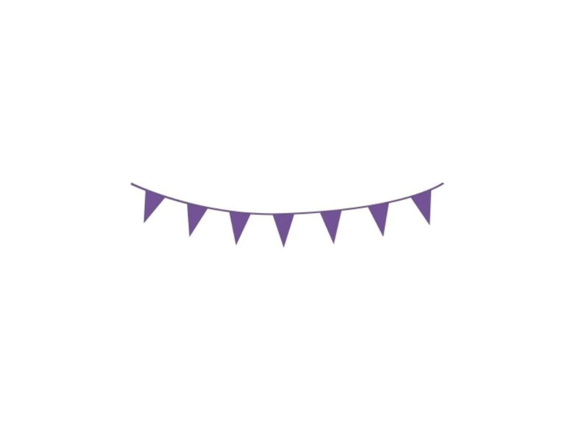 Ligne drapeau Haza 10m violet