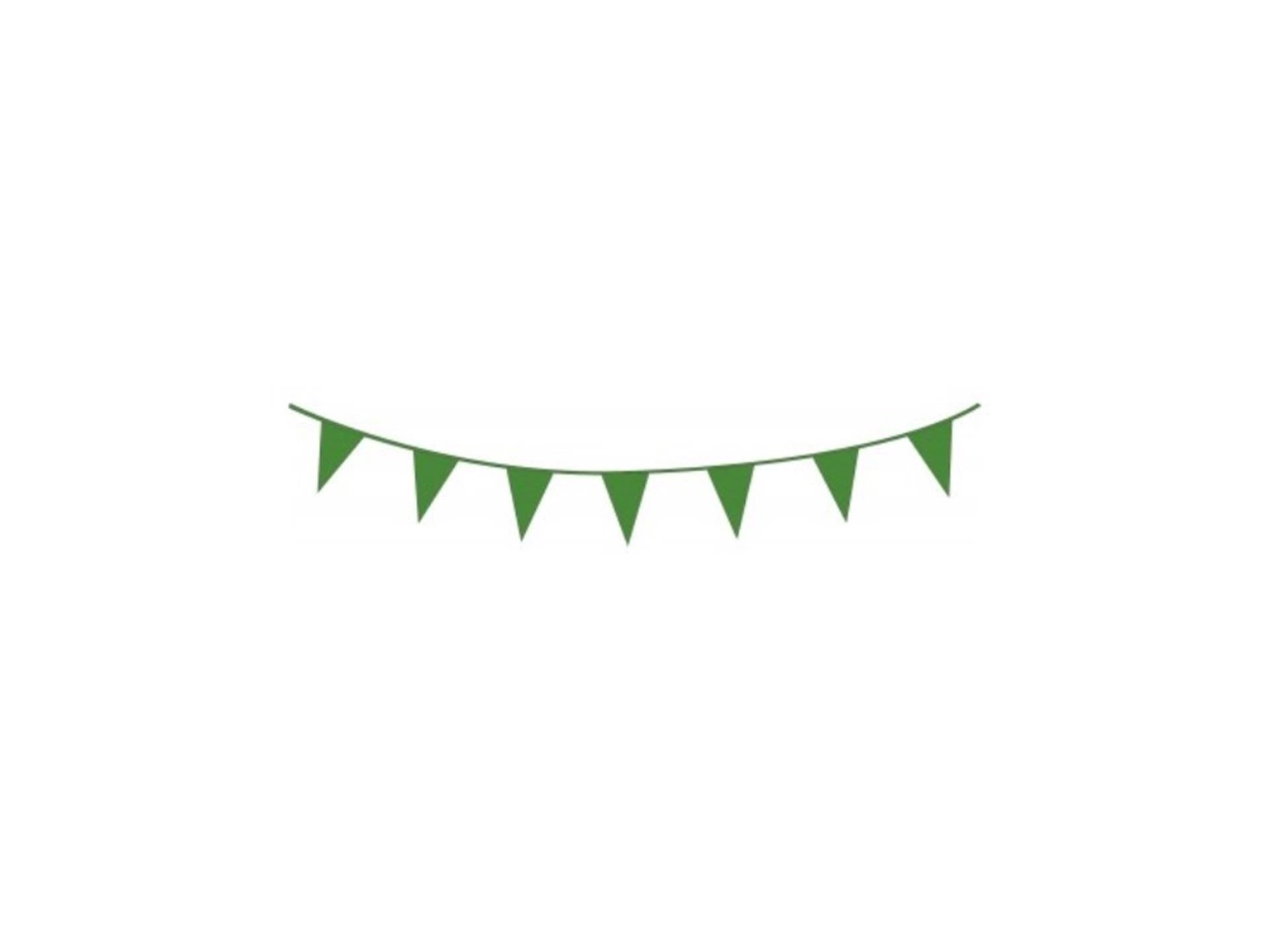 Ligne drapeau Haza 10m vert