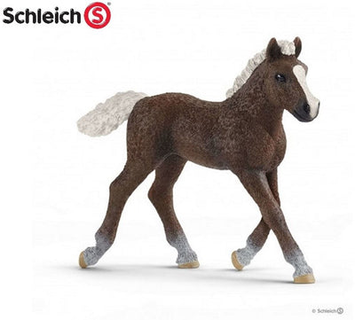 Horse Club Schwarzwalder Veulen 17077