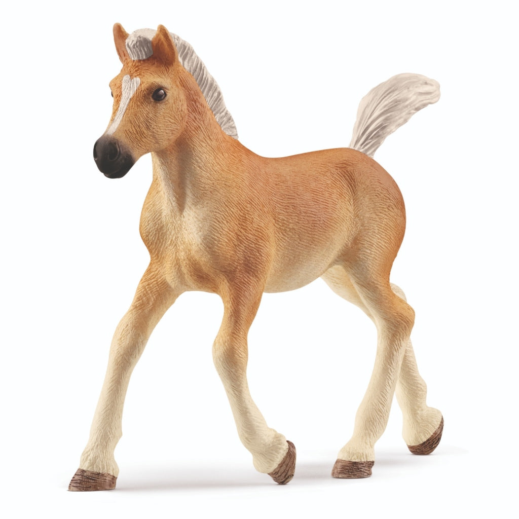 Schleich Horse Club Halflinserveen 13951