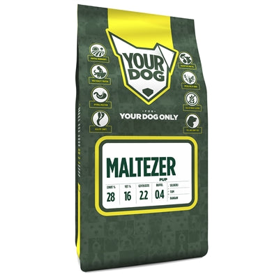 Votre chiot maltais