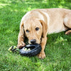 Happy Pet Grrrelli Tire Tugger Black Green