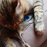 Croci Euphoria Cat Rod Matatabi Pauwenveer - afbeelding 3