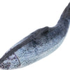 Trixie Spartel poisson avec tissu catnip