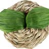 Trixie Play Ball Apple Grass Corn Leaf