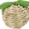 Trixie Play Ball Apple Grass Corn Leaf