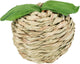Trixie Play Ball Apple Grass Corn Leaf
