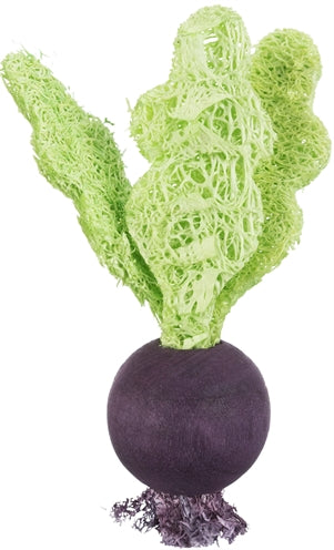 Trixie Play Ball Set Beet Beet Strawberry Wood Loofah