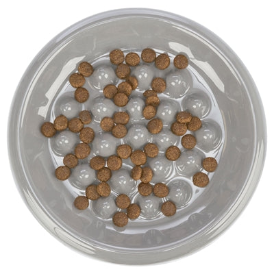 Trixie Food Bowl Assortiment en céramique d'alimentation lente