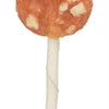 Trixie Denta Fun Chicket Cheese Lolly