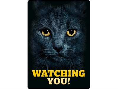 Beaucoup cadeaux wakkboard blik noir chat qui vous regarde