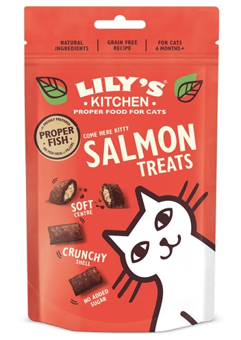 Les friandises de saumon de cuisine de Lily