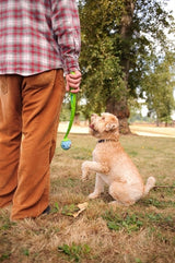 Chuckit le Whistler - afbeelding 2