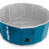 Martin dog pool bleu