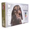 Martin dog pool bleu