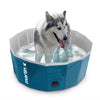 Martin dog pool bleu