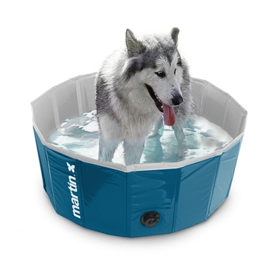 Martin dog pool bleu