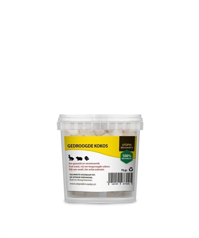 Noix de coco séchée à l'utopie