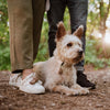 Eco Tecked Eco Teek et Vlo Defence pour les gens Brown