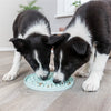 Trixie Junior Pichiplaat Mintgroen