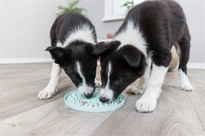Trixie Junior Pichiplaat Mintgroen