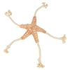 Trixie be nordic zeester jane corde en peluche beige