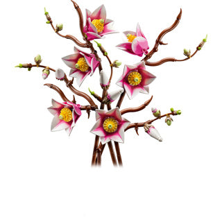 Lego botaniques 11510 branches de magnolia