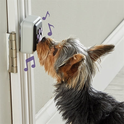 Faim de mots parlant de porte-porte pour animaux de compagnie