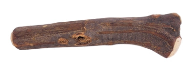 Chien en bois olijfhout