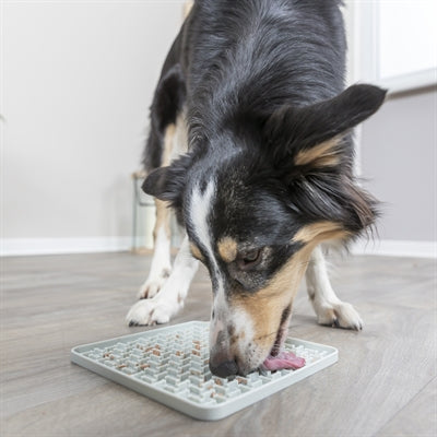 Trixie Lick'n'snack Mat Silicone gris foncé