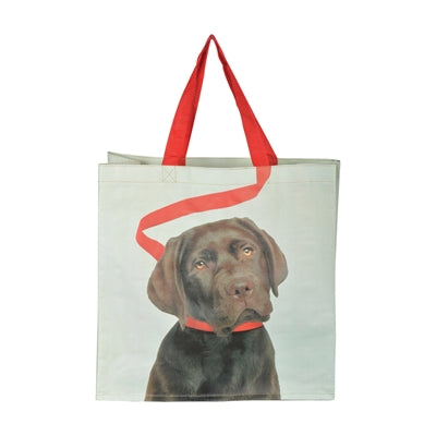 Chien du sac à provisions sur Riem Assorti