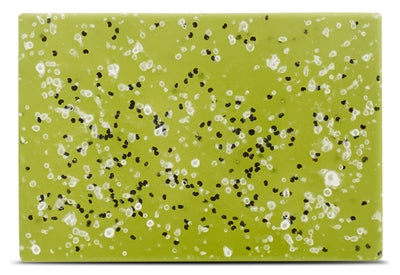 Bar de shampooing pour animaux de compagnie bien-aimée