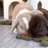 Naturals Naturals Carrot 'n' fourrage lapin