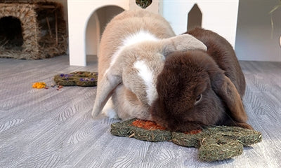 Naturals Naturals Carrot 'n' fourrage lapin