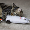 Botteur arc-en-ciel moggy de mooggy de mauvaise humeur