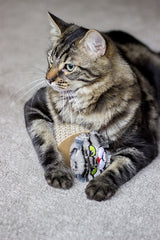 Rosewood Moody Moggy Crab Toys Cardboard - afbeelding 2