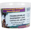Capsules de magazine Raspberry Drogist Raspberry Animal