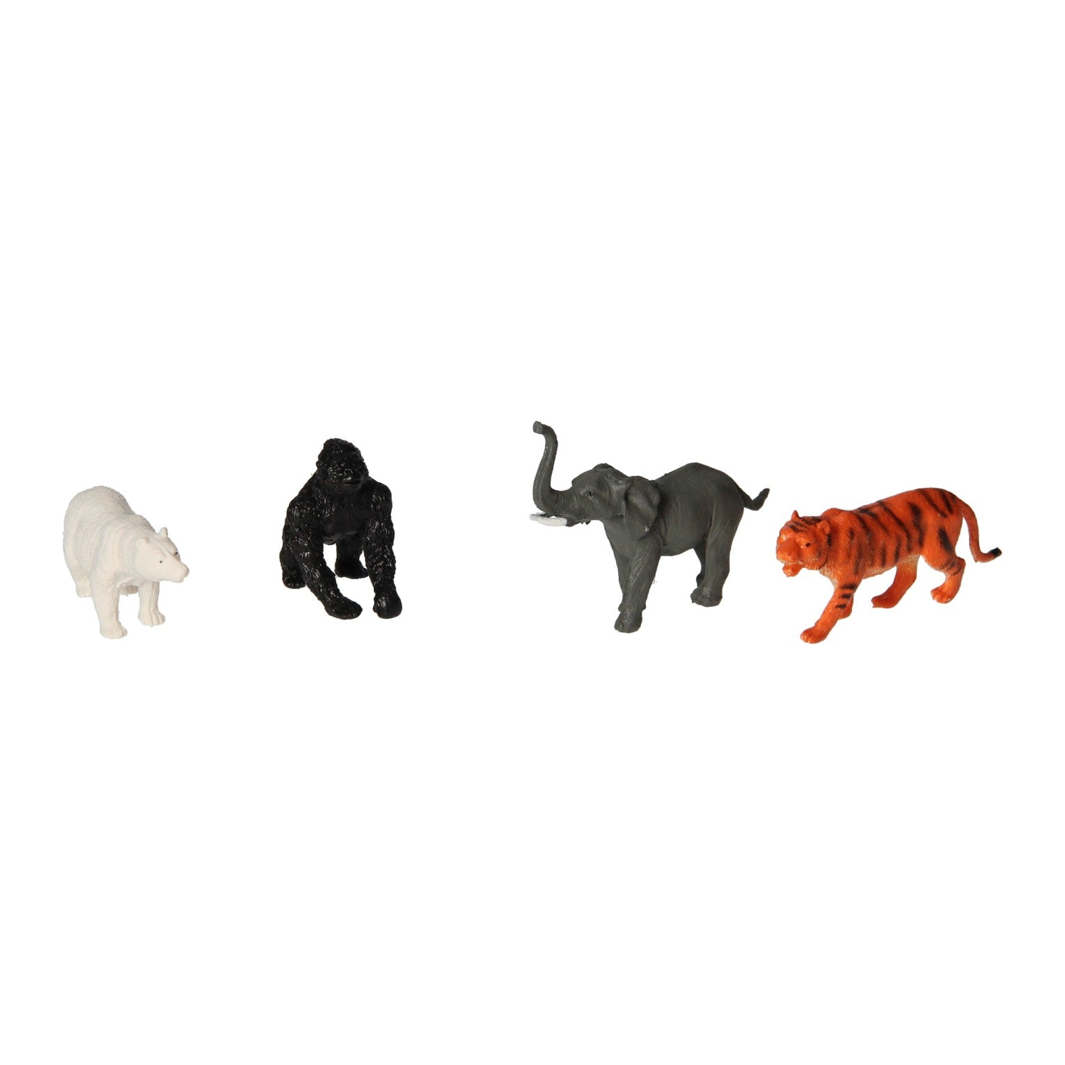 Animaux sauvages, 4e.