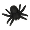 araignée de gomme