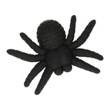 araignée de gomme - afbeelding 2