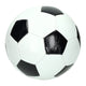 Adrenice Adrenix Beach Football, 23 cm