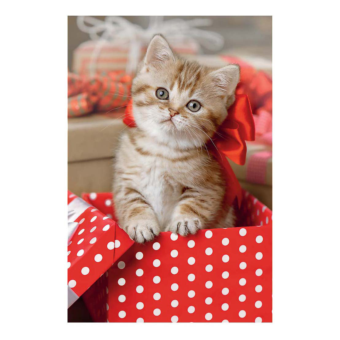 Mini puzzle adorables animaux - 54 pièces.