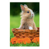 Mini puzzle adorables animaux - 54 pièces.