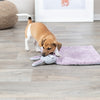 Trixie chiot couverture lièvre lilas gris clair