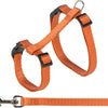 Trixie Cat Effarch avec Belt Assorti