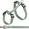 Trixie Cat Effarch avec Belt Assorti