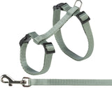 Trixie Cat Effarch avec Belt Assorti - afbeelding 4