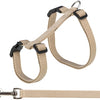 Trixie Cat Effarch avec Belt Assorti
