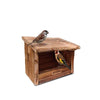 Utopia Vogel Naison d'alimentation