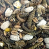 Utopie stooivoos avec des insectes